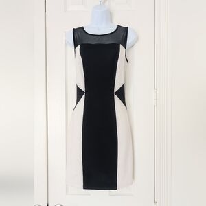 Enfocus Studio Black And Creamy White Mini Dress